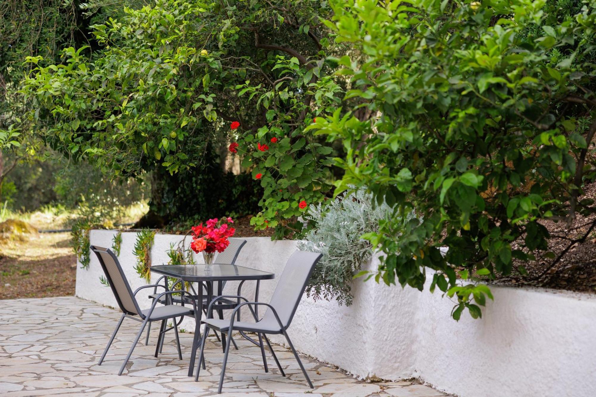Santos Holidays Dassia  Exterior photo