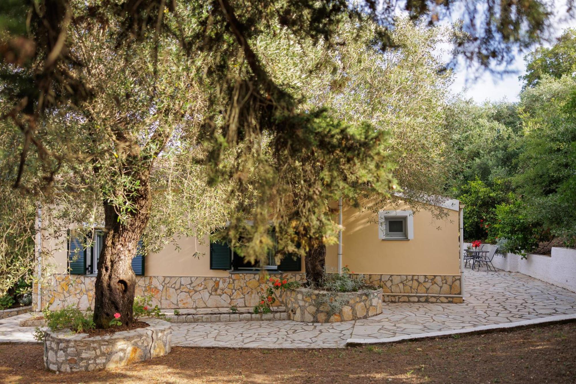 Santos Holidays Dassia  Exterior photo